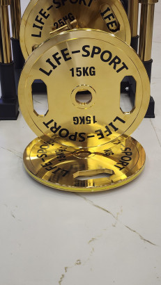 life sport pro bronze coating change plate 15 kg